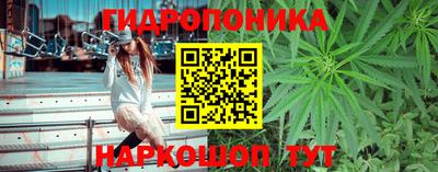 соль курить ск Сланцы