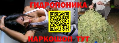 ГАЛЛЮЦИНОГЕННЫЕ ГРИБЫ Среднеуральск
