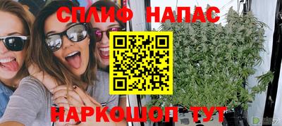 PSILOCYBIN Славгород