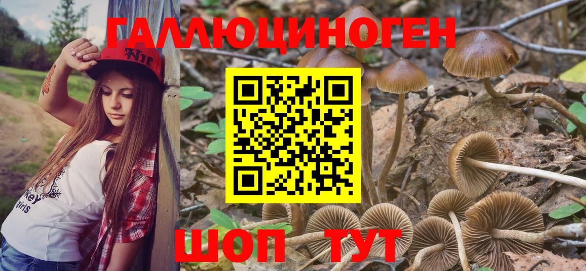 Галлюциногенные грибы GOLDEN TEACHER Мирный
