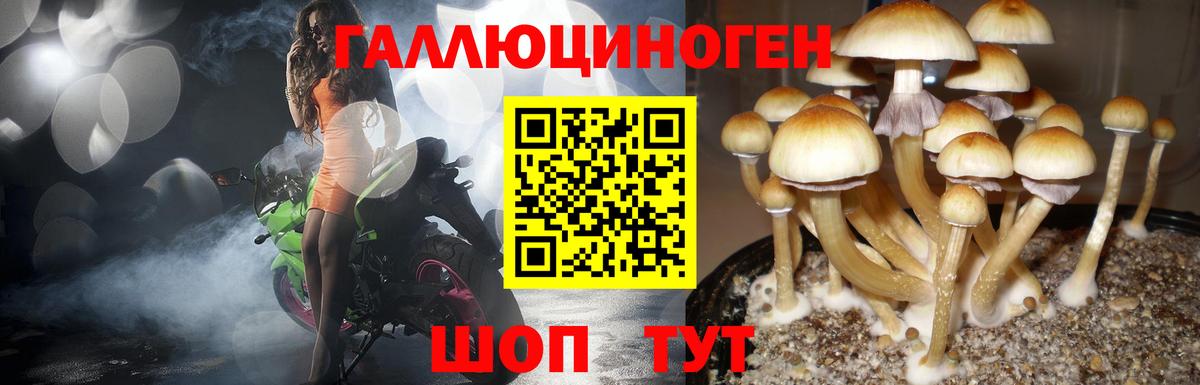 Псилоцибиновые грибы прущие грибы  Вход с VPN  Мирный 